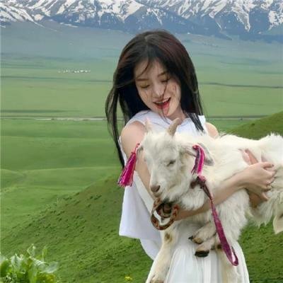 献鱼 在线观看封面