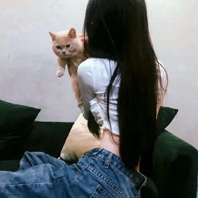 爱之情照 在线观看封面