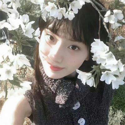 大坏狼 在线观看封面